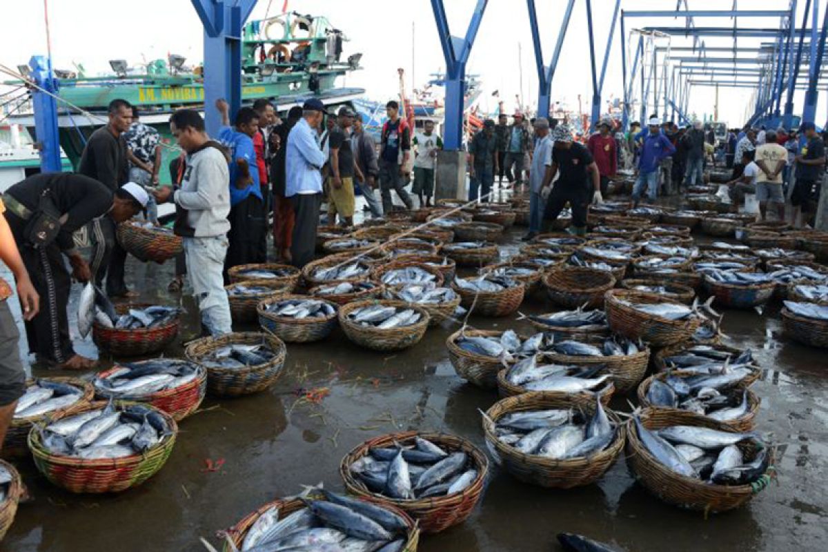 BPS: Ikan tongkol penyumbang inflasi tertinggi di Aceh