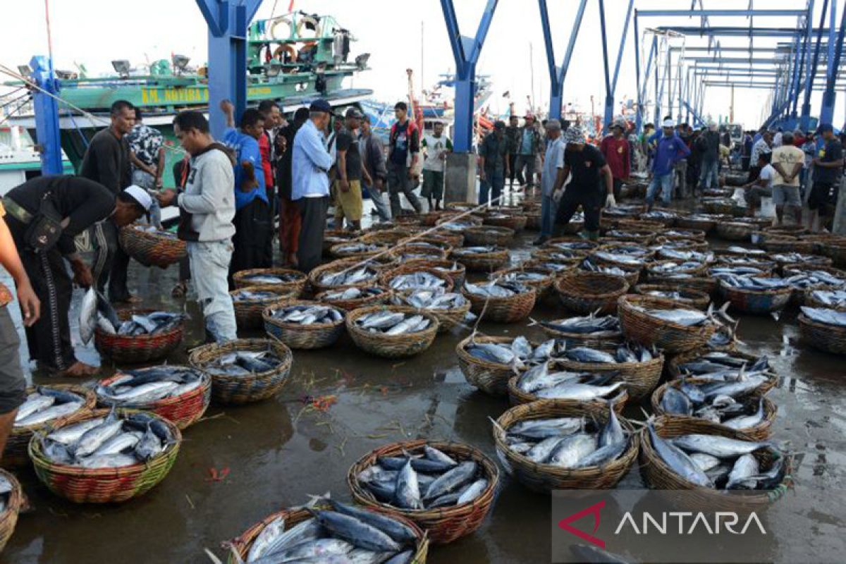 BPS: Ikan tongkol jadi penyumbang inflasi tertinggi Aceh