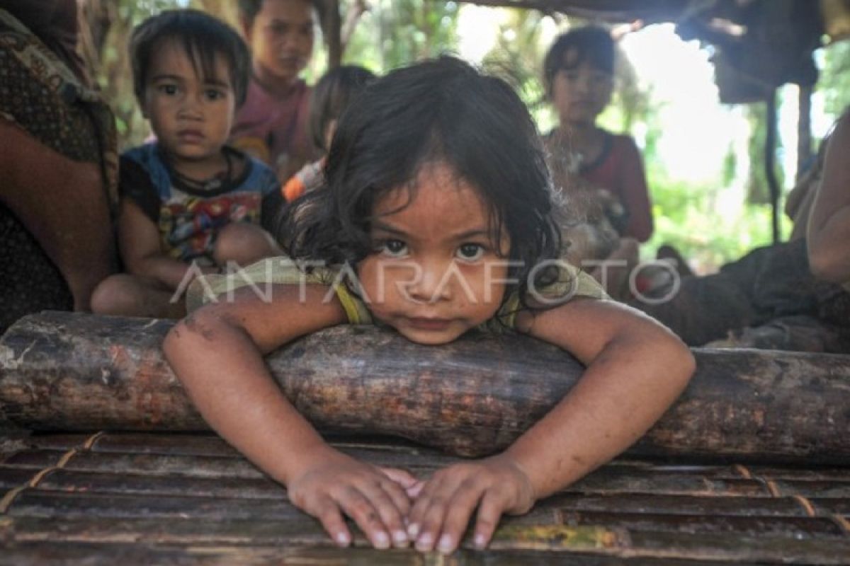 Orang Rimba menumpang hidup di perkebunan