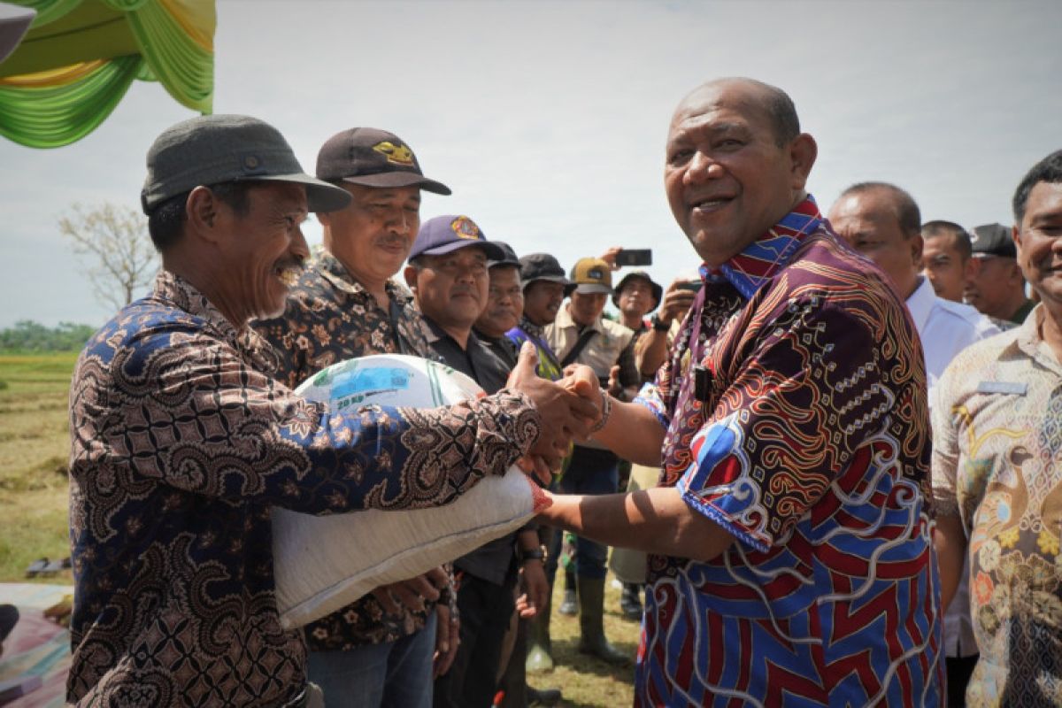 Plt bupati yakin Langkat akan jadi sentra kedelai Sumatera Utara