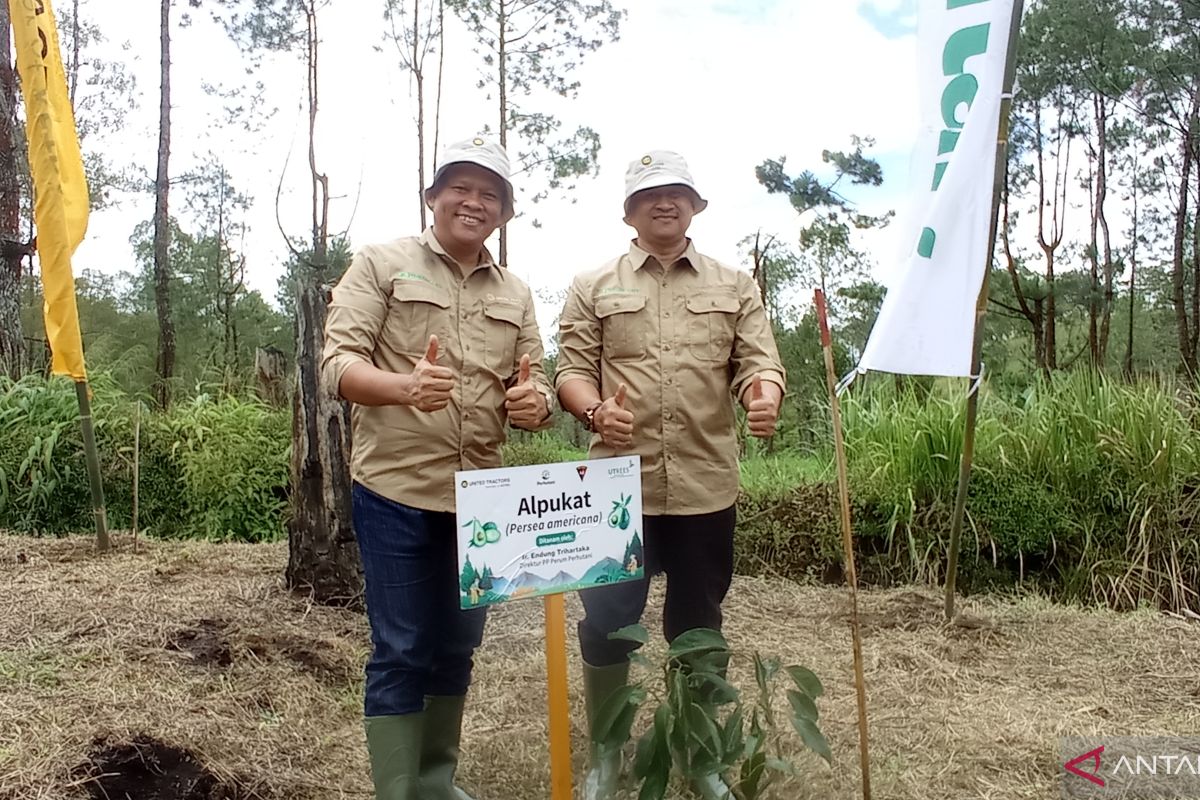 PT United Tractors dan Perhutani lestarikan alam melalui rehabilitasi hutan