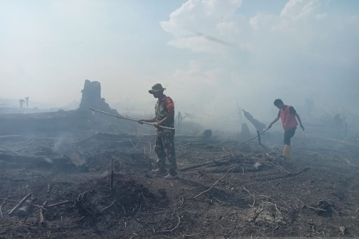 5,5 hektare lahan terbakar di Trumon Aceh Selatan, sampai malam belum padam