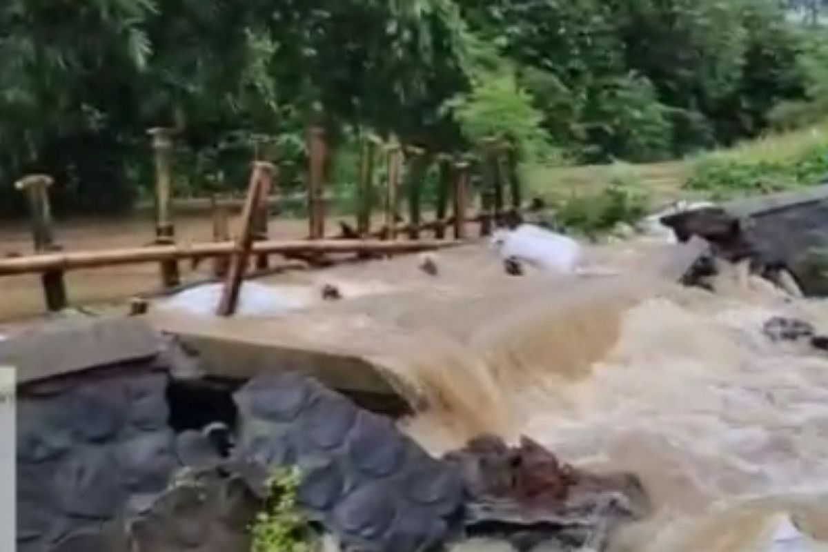 Tanggul dua sungai di Kudus jebol