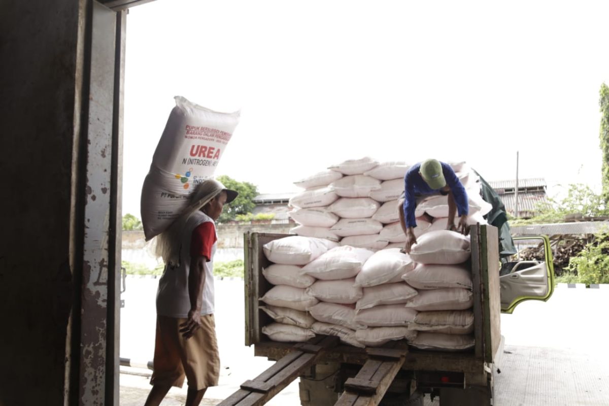 Pupuk Indonesia sebut pupuk bersubsidi hanya untuk petani terdaftar