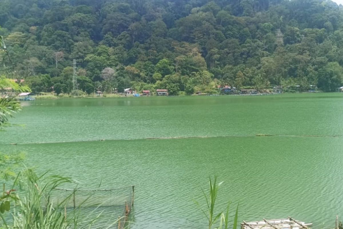 Benih ikan yang mati di Danau Maninjau sebanyak  lima ton