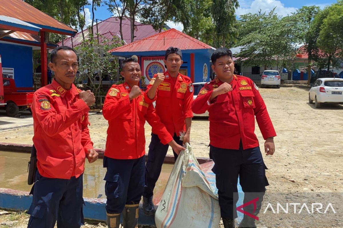 Di Kendari, Damkar evakuasi ular sepanjang 6 meter yang makan kambing