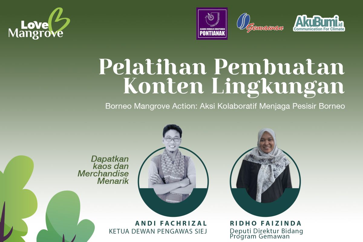 AJI Pontianak dan Gemawan jalankan program Borneo Mangrove Action