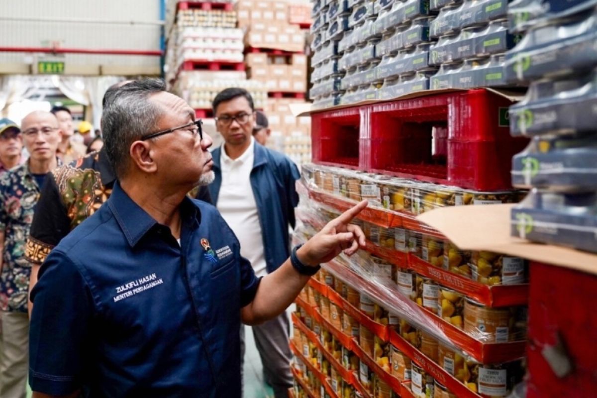 Mendag tinjau proses produksi nanas olahan GGP Lampung