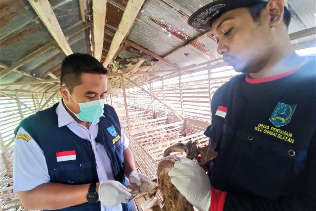 Pemprov Kalsel cegah penyebaran flu burung