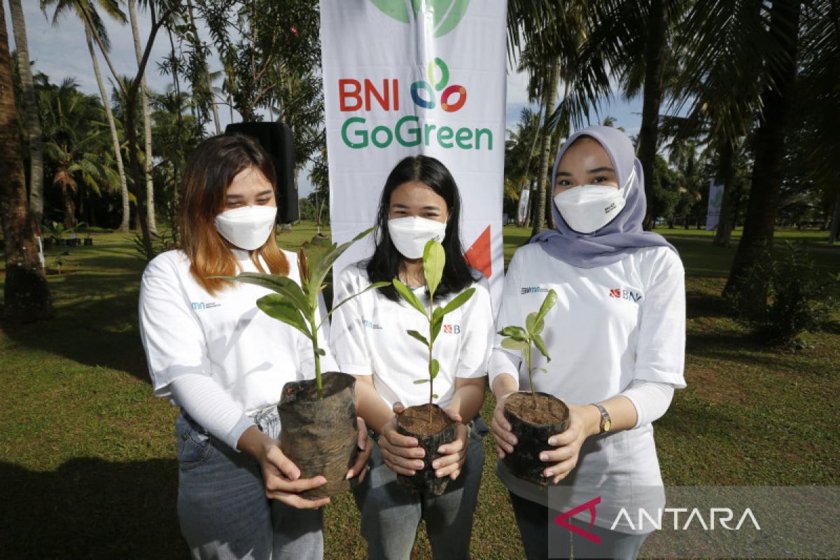 BNI beberkan strategi dukung pemerintah capai nol karbon 2060