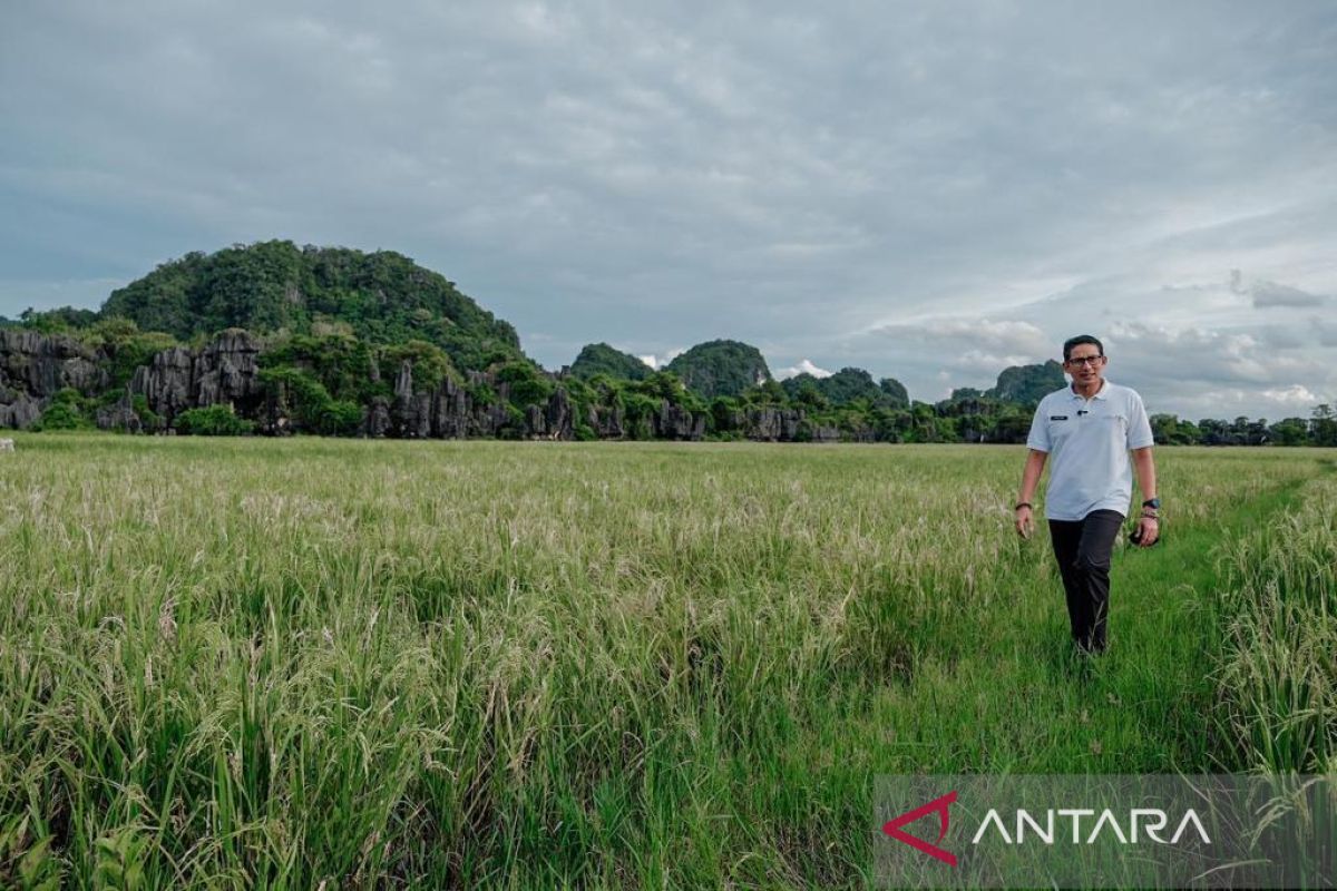 Kemenparekraf buka program pembiayaan desa wisata di Sulawesi Selatan