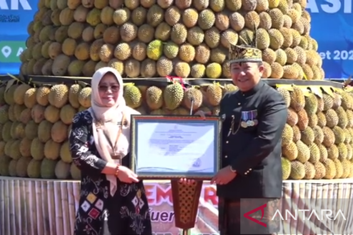 Dua varietas durian lokal Jember resmi terdaftar di Kementan