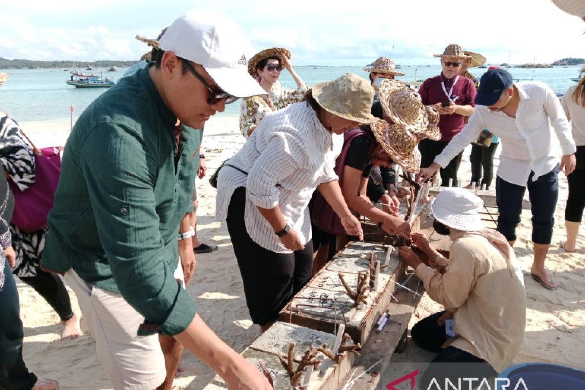 Delegasi ASEAN HLTF-EI 2023 tanam terumbu karang di Belitung