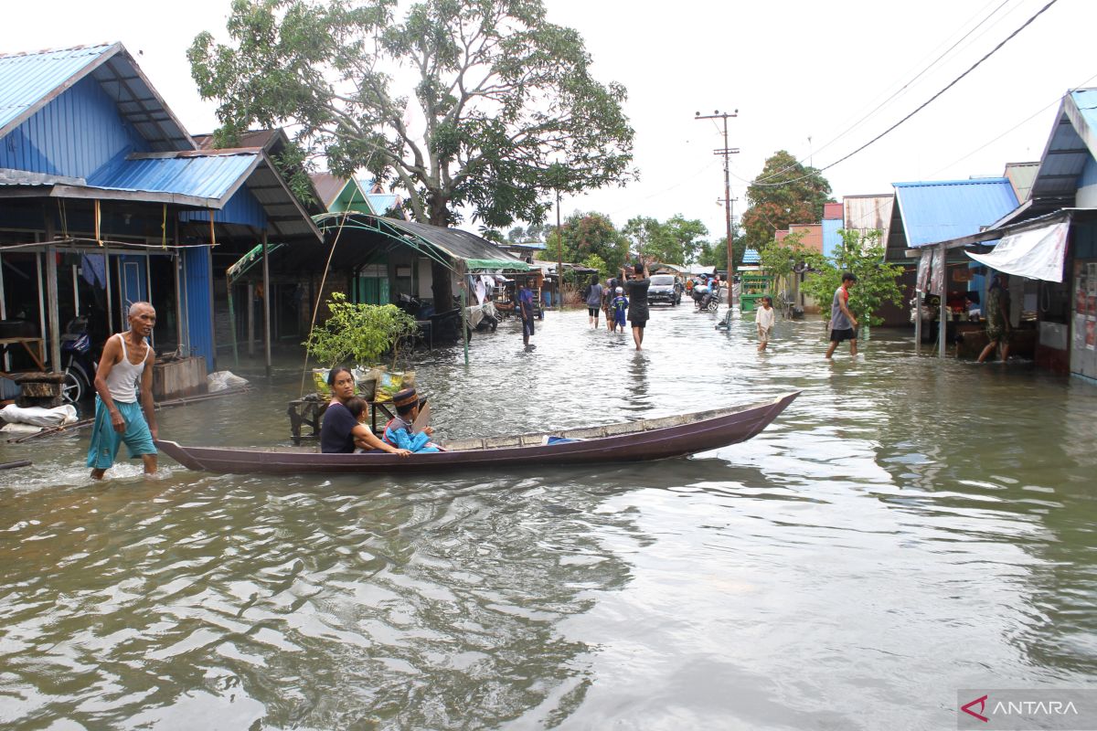 17.257 rumah di Kabupaten Banjar terendam banjir