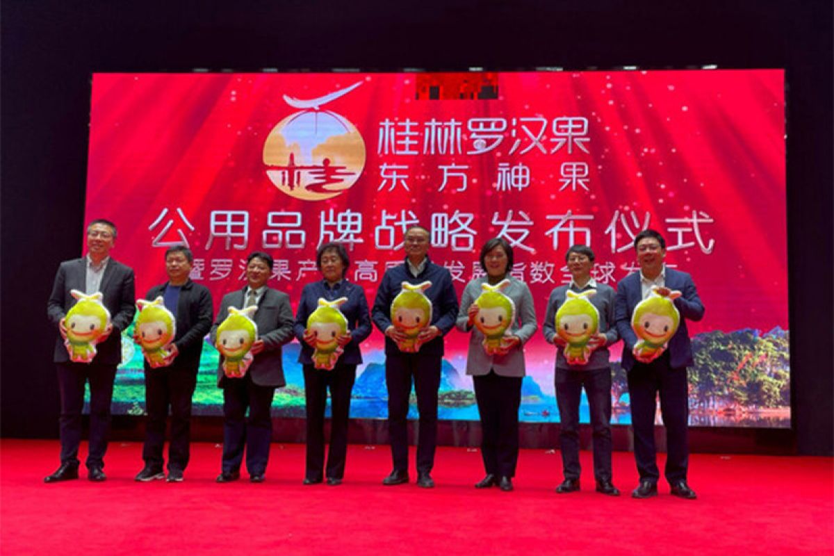 Xinhua Silk Road: Industri "monk fruit" di Guilin, China Selatan, dorong momentum pembangunan bermutu tinggi