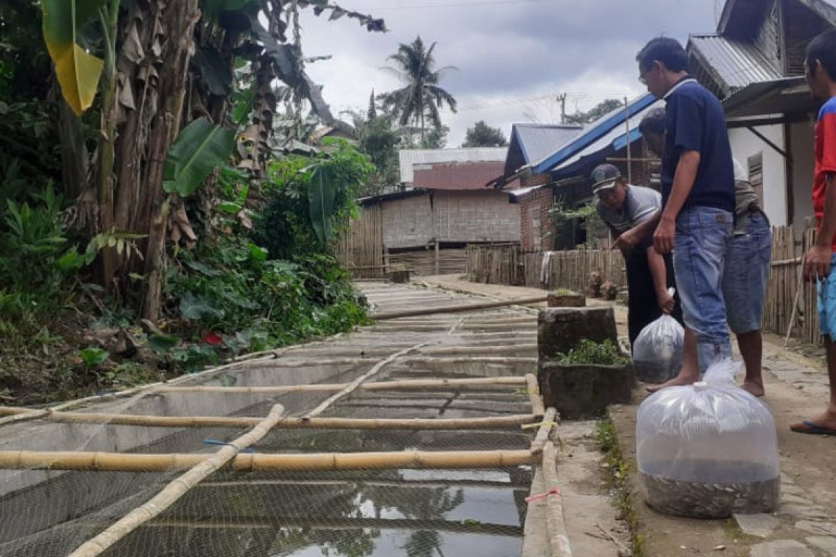 Warga Rejang Lebong budi daya ikan di irigasi