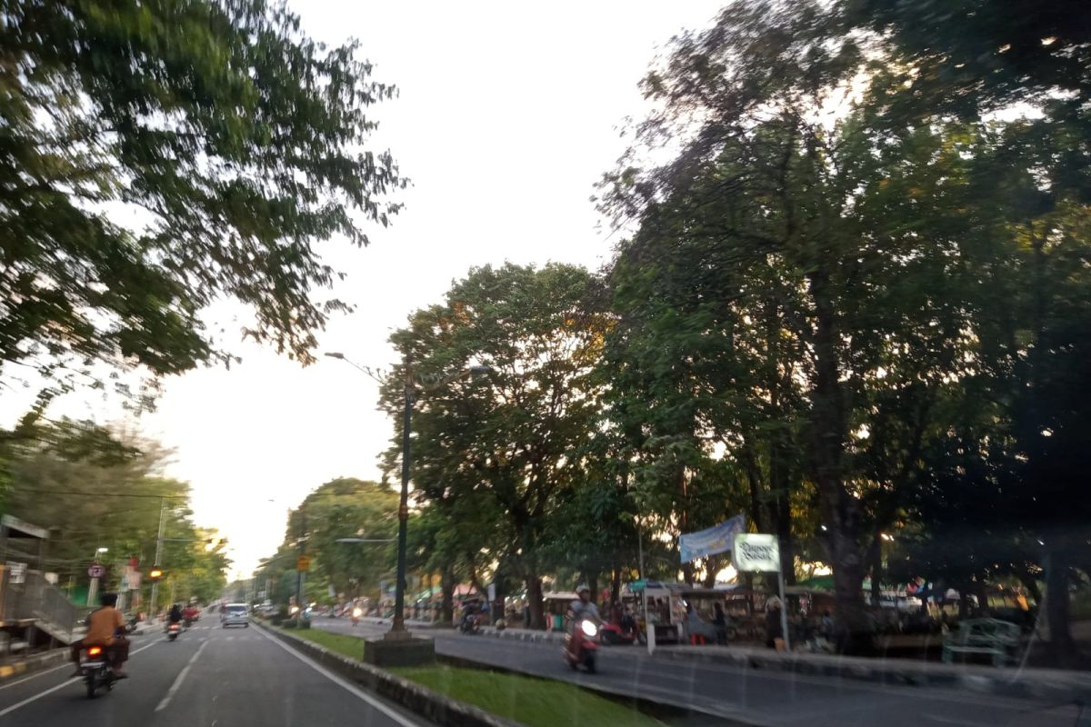 Pemkot Mataram segera menata median sepanjang Jalan Udayana