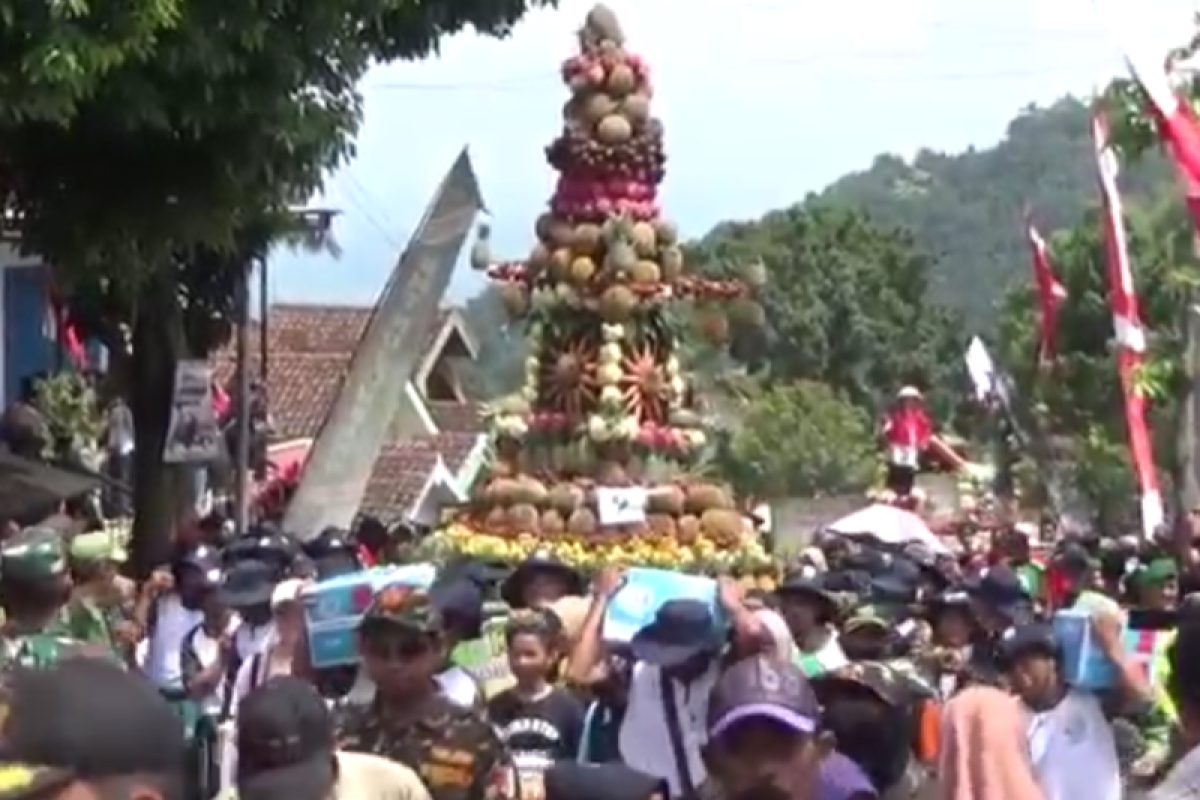 Warga berebut durian gratis dalam "Kenduri Durian"