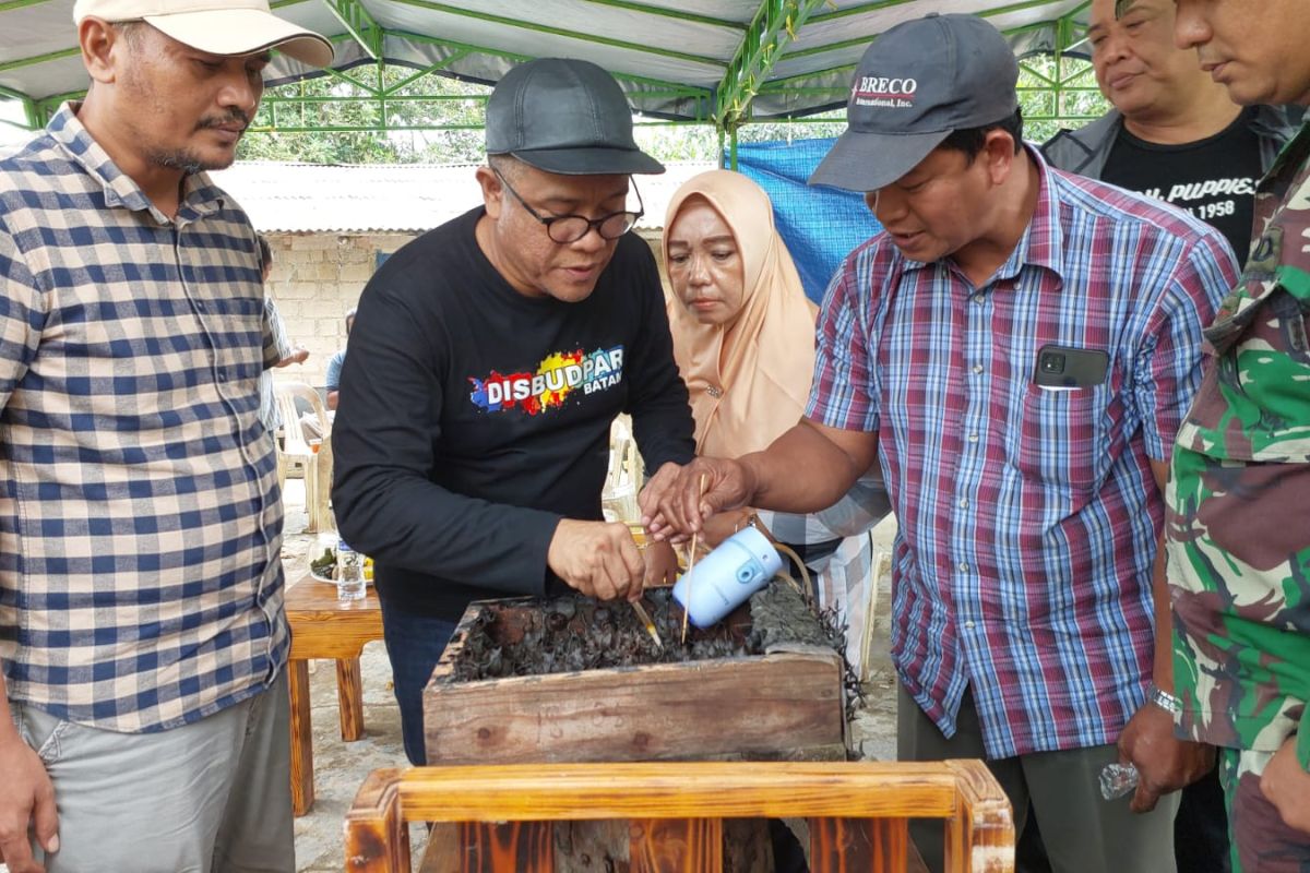 Batam miliki ekowisata madu klanceng untuk gaet pelancong