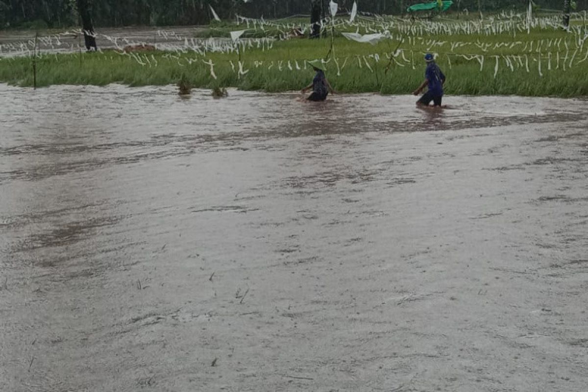 Beberapa desa di Kabupaten Bima diterjang banjir