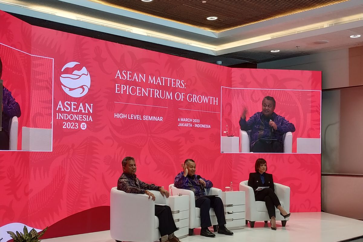 Wamenkeu sebut ASEAN kawasan yang sangat menjanjikan