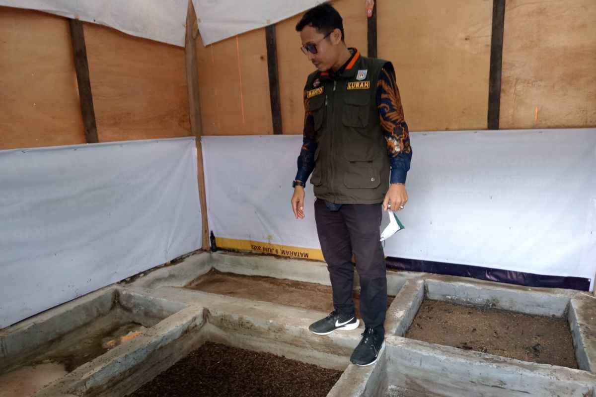 DLH targetkan 50 kelurahan olah sampah lewat budi daya maggot