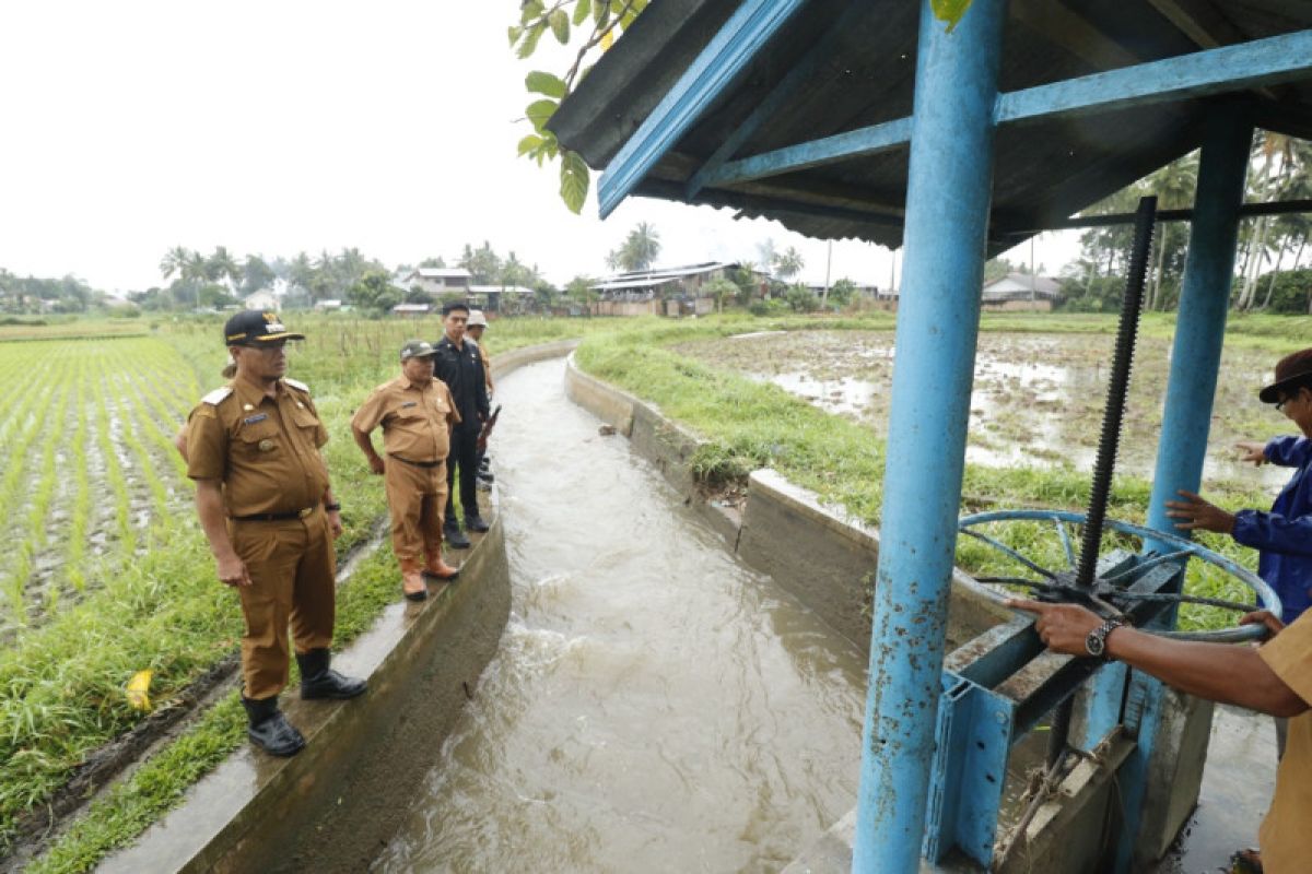 Pj Wako Payakumbuh Rida Ananda langsung turun cek irigasi rusak