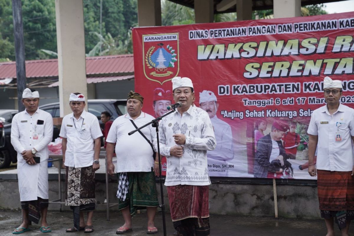 Karangasem vaksinasi 13 ribu lebih anjing di 17 desa