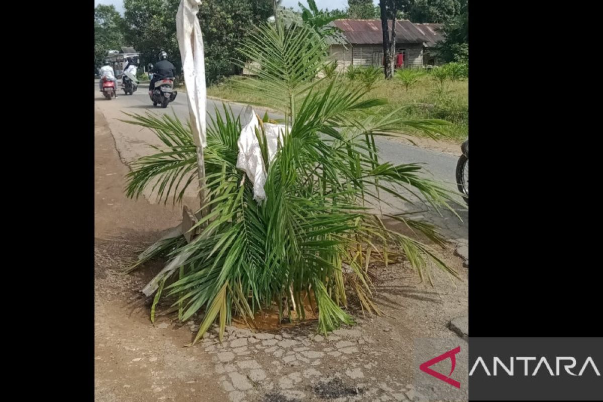 Anggota DPRD Bangka Tengah soroti ruas jalan Simpangkatis rusak