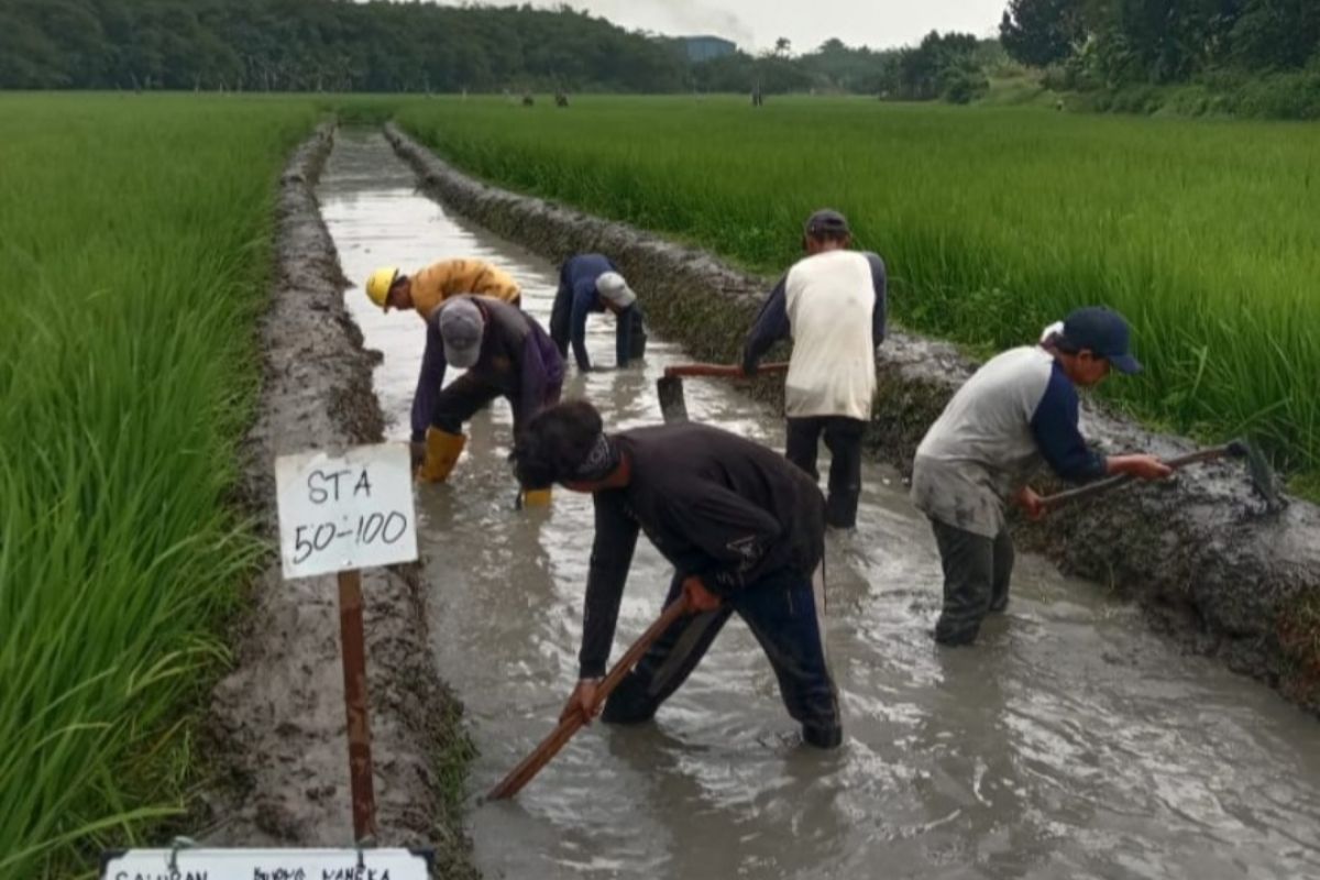 DBMSDA Kabupaten Tangerang normalisasi embung pengairan sawah