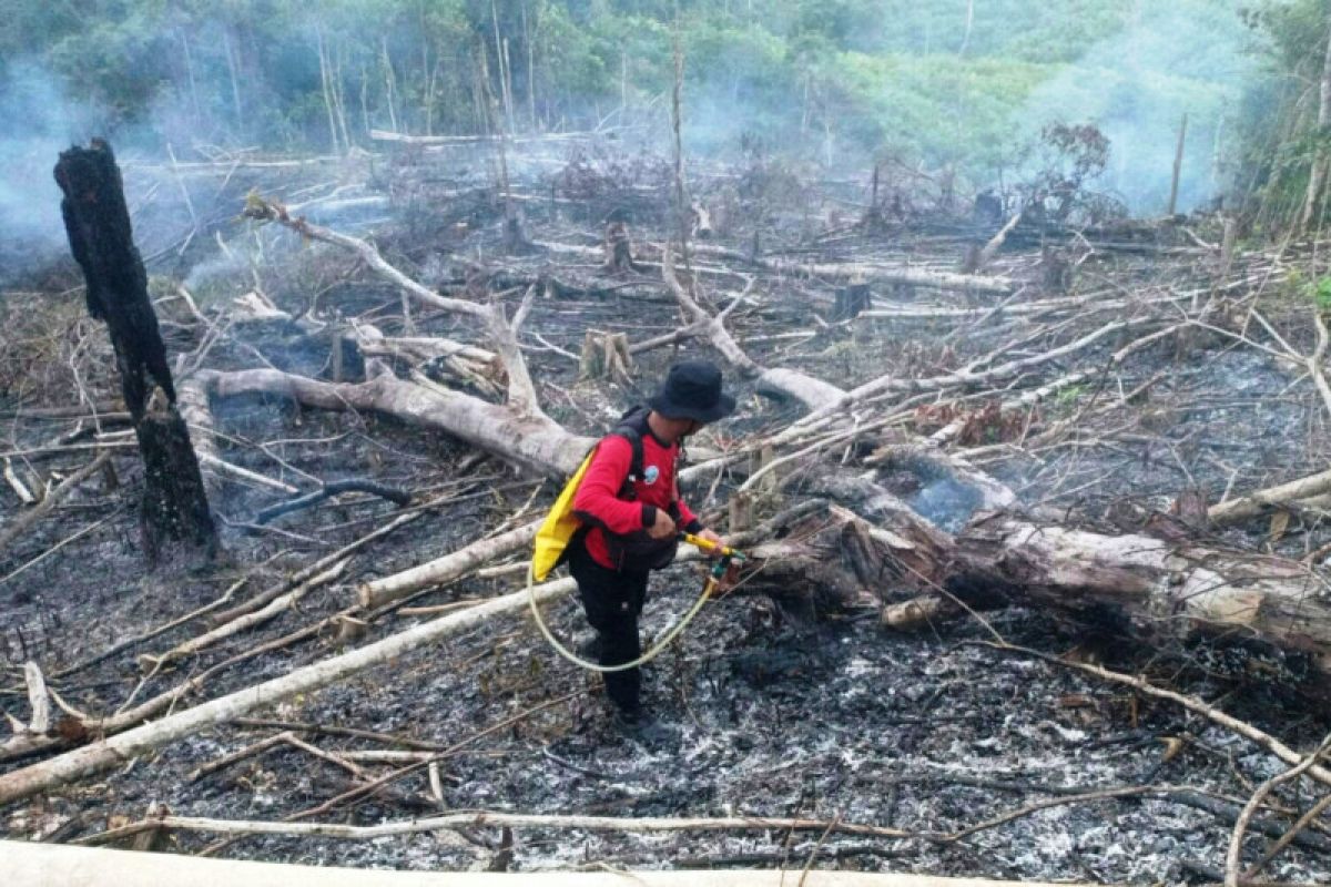 BMKG: Terdeteksi ada 16 titik panas di empat  kabupaten/kota di Kaltim