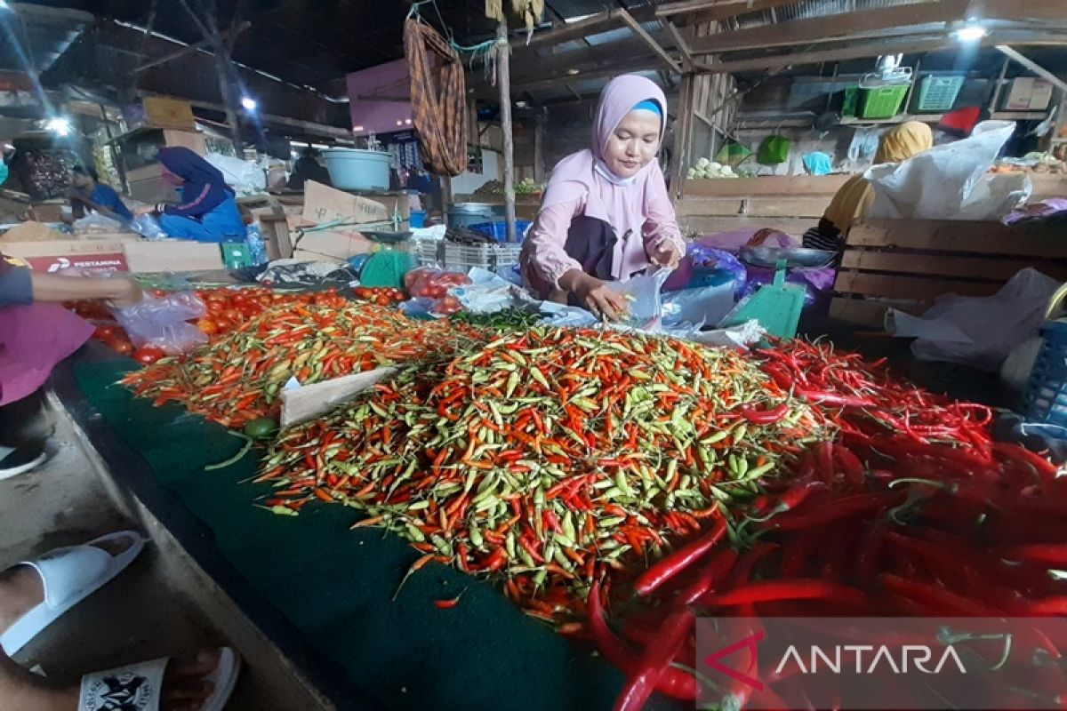 Stok cabai di Tanbu diperkirakan cukup hingga dua pekan ke depan