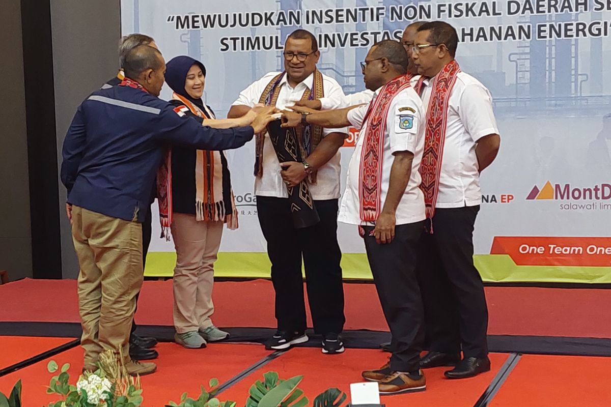 Pemerintah Papua Barat Daya segera bentuk perusahaan daerah