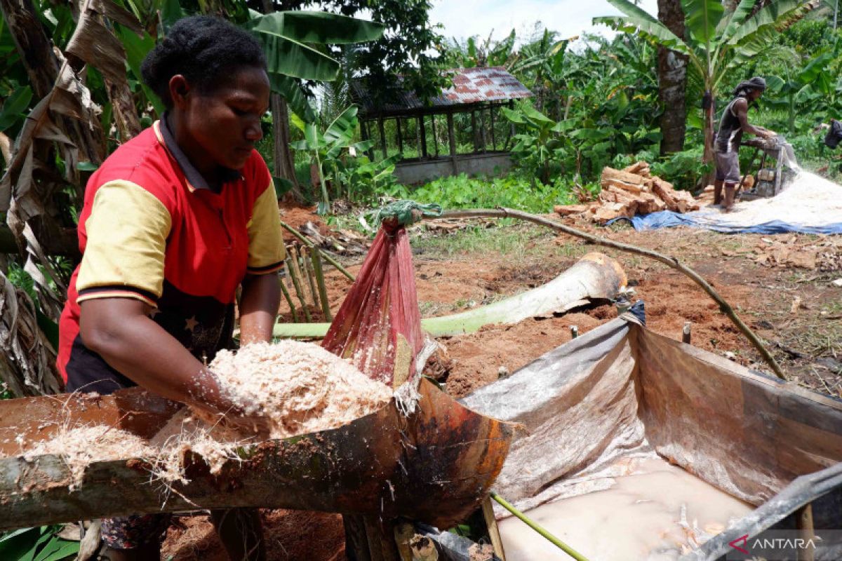DKLH Papua: Hutan sumber kemakmuran bagi masyarakat lokal