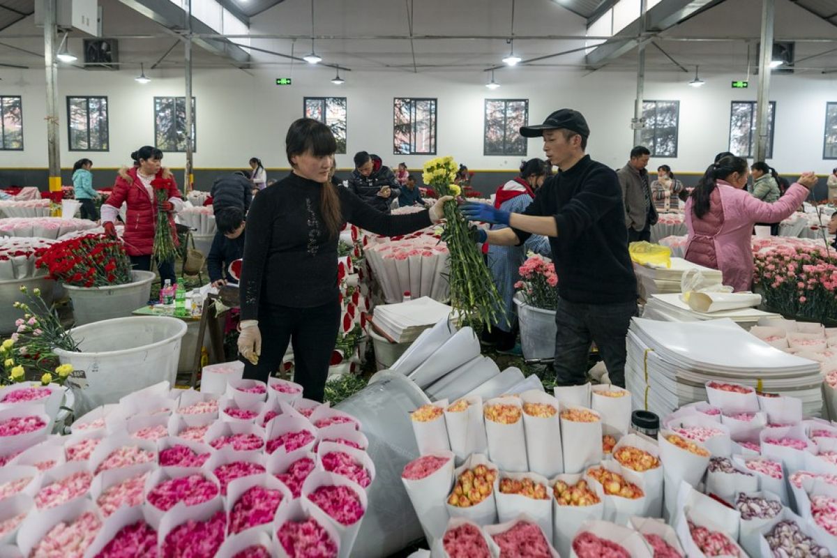 Pasar bunga China bidik cuan dari "perekonomian kaum hawa"