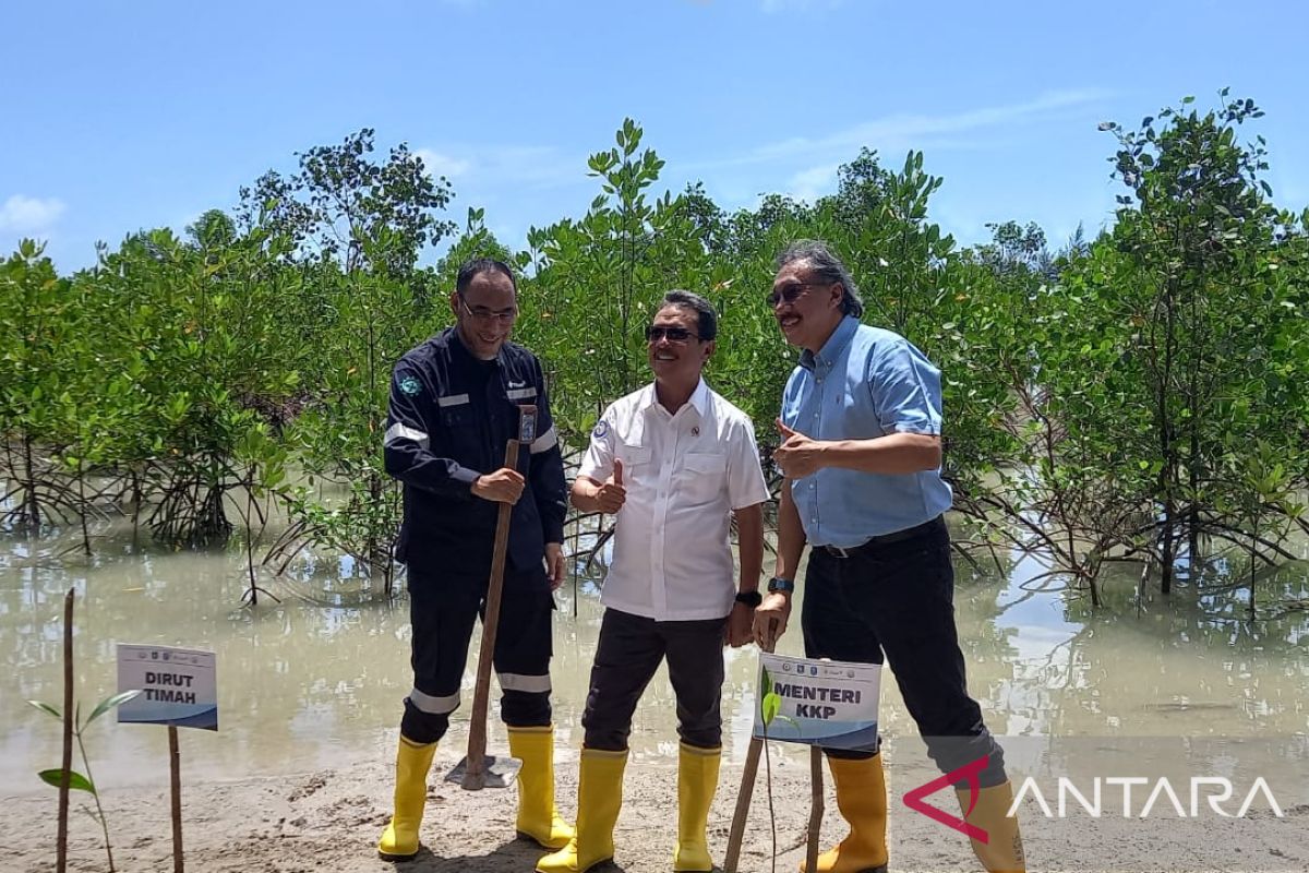 Menteri KKP Lihat Program Revitalisasi Mangrove PT Timah Tbk bersama Yayasan Ikebana