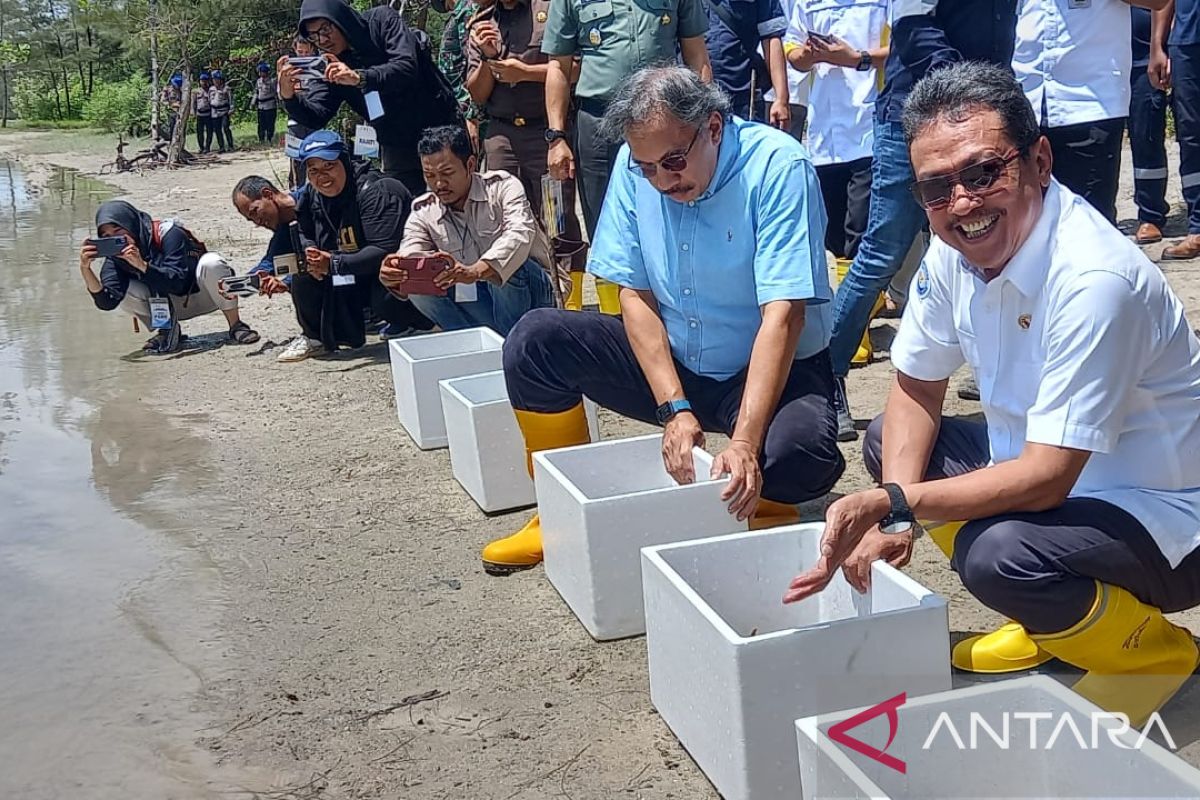 PT Timah pastikan reklamasi berjalan sesuai harapan