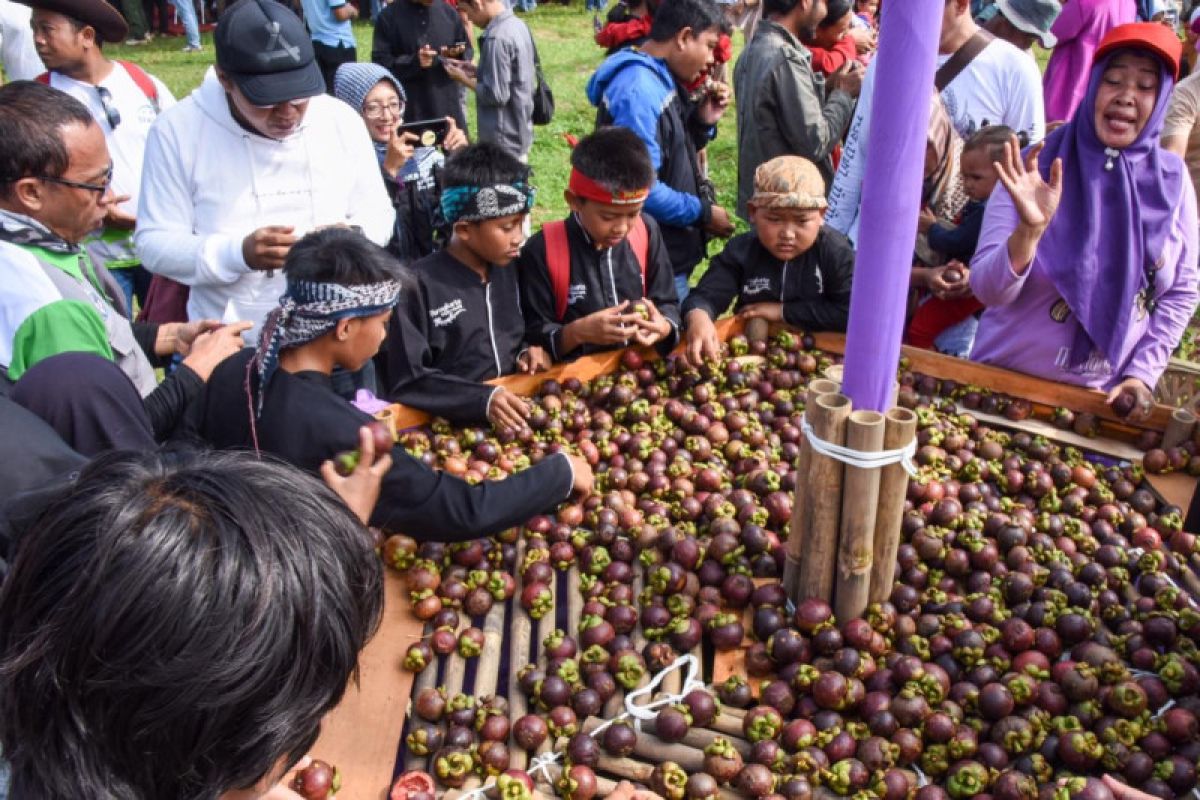 Manggis Wanayasa Kabupaten Purwakarta diklaim salah satu varian terbaik