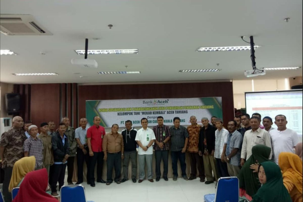 Dukung ekonomi berbasis kerakyatan, Bank Aceh fokus sektor pertanian