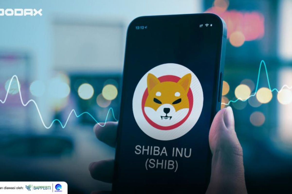 Indodax sebut Shiba Inu akan merilis jaringan Shibarium