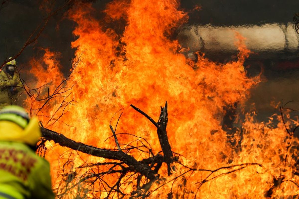 Australia berjibaku hadapi kebakaran akibat suhu meningkat