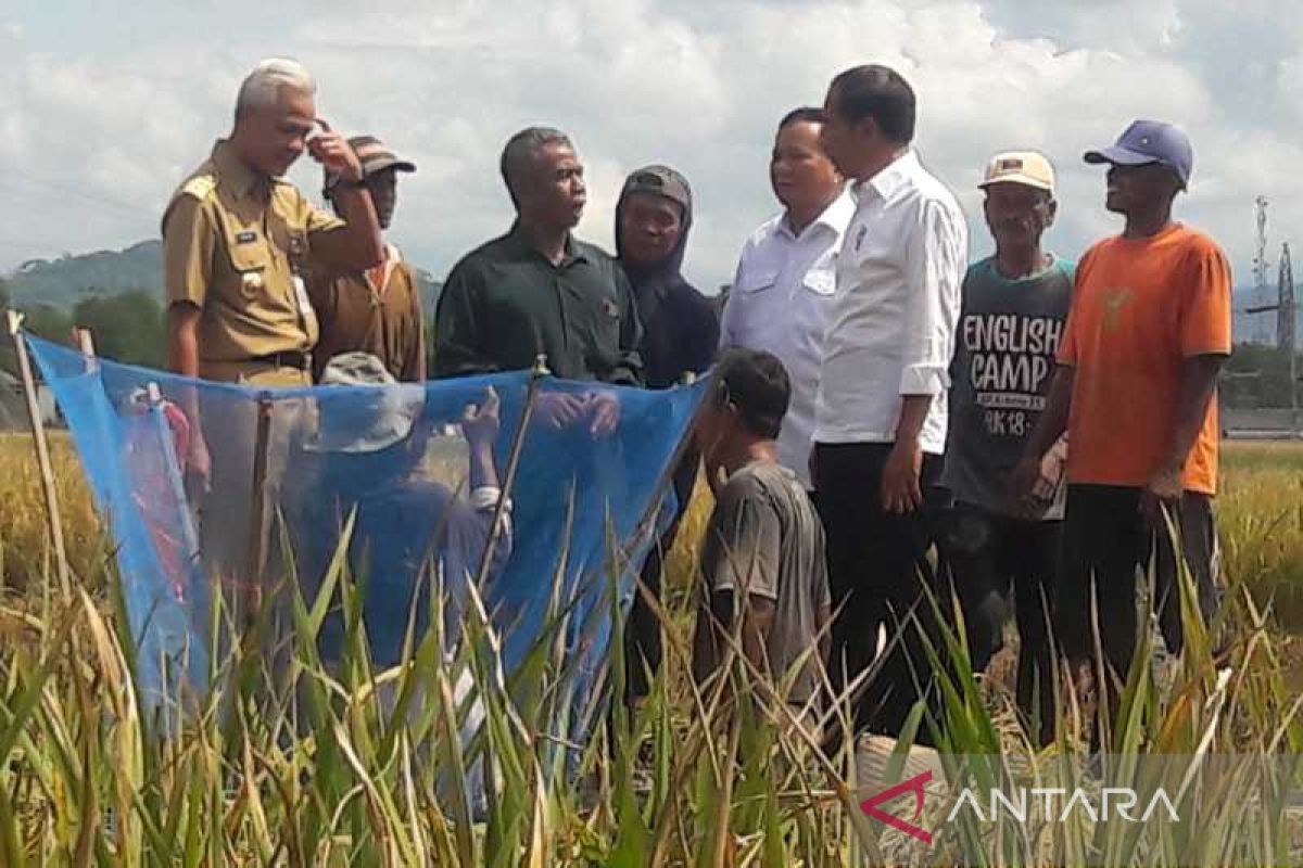 Presiden Jokowi: Harga jual beras harus wajar