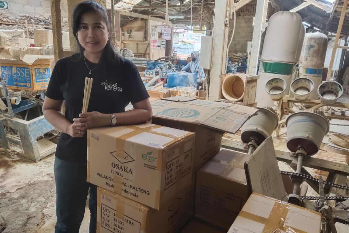 Olahan sumpit di Palangka Raya bertahan 12 tahun diekspor ke Jepang