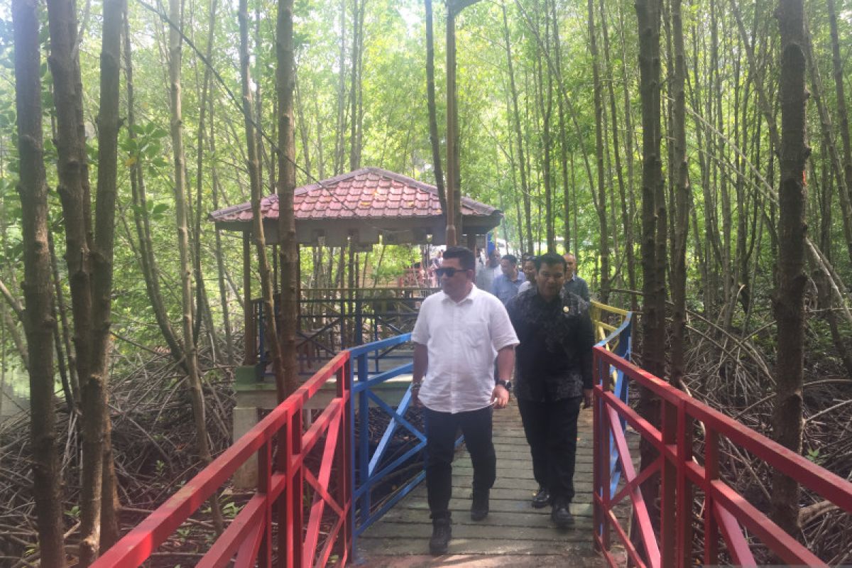 Disbudpar dukung pengembangan ekowisata mangrove Aceh Jaya