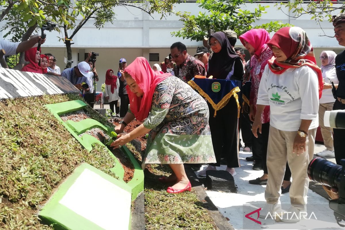 Pemkot Semarang gencar implementasikan pertanian perkotaan di sekolah