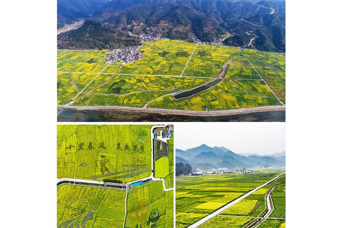 Encounter a stunning spring in the sea of rapeseed flowers in southwest China's Guizhou Province