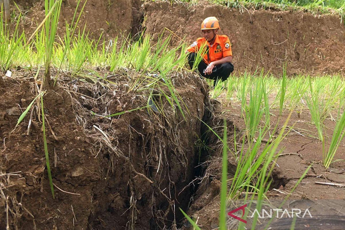 BPBD: Ratusan jiwa di Jember terancam retakan tanah rawan longsor