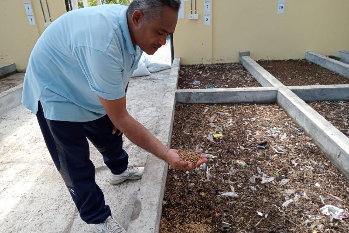 DLH Mataram butuhkan 3 ton sampah untuk pakan maggot di MMC