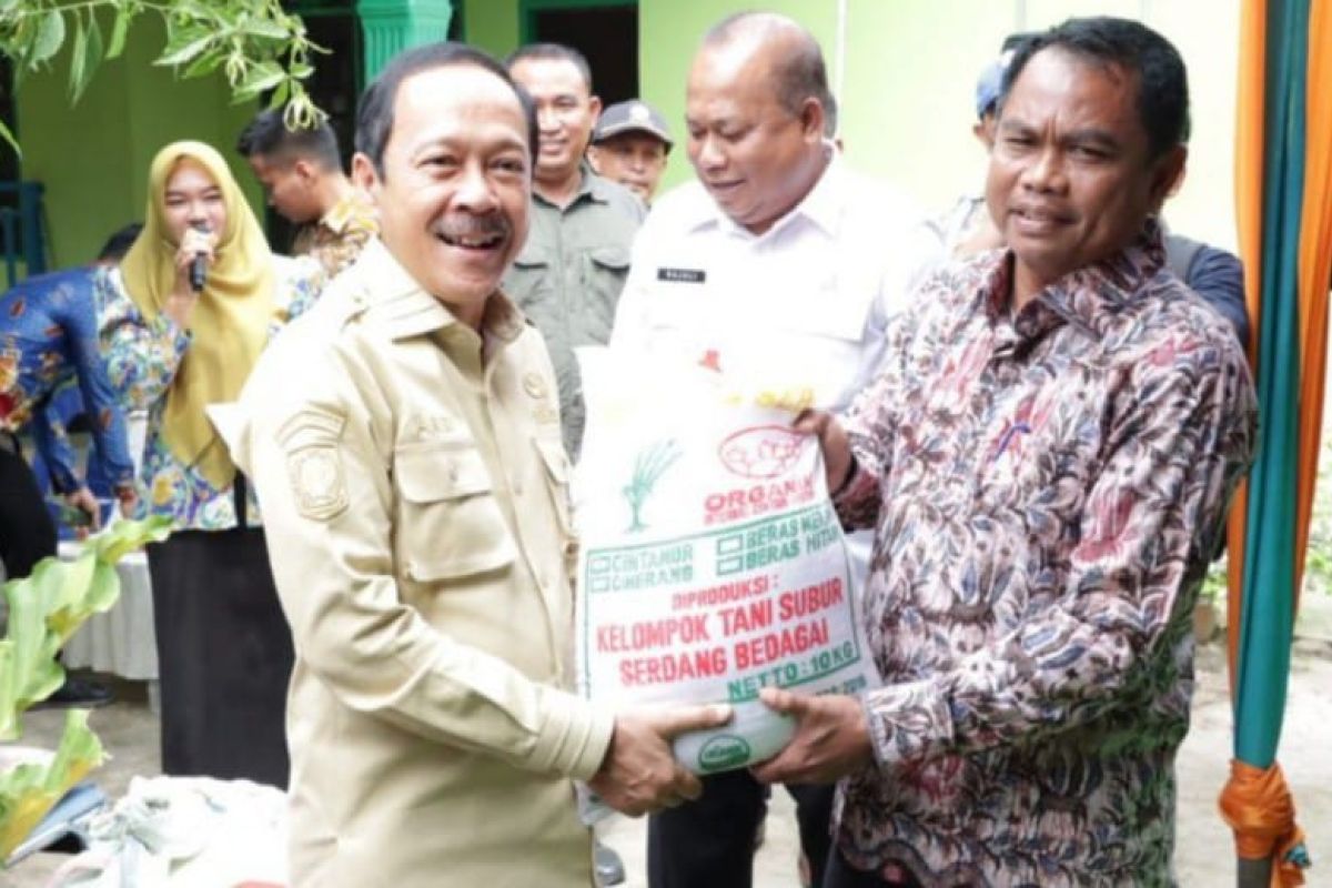 Pemkab Serdang Bedagai dorong petani kembangkan padi organik