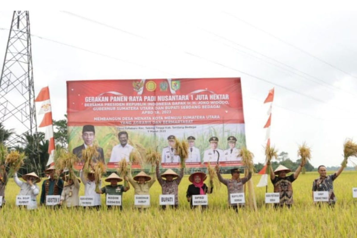 Pemprov apresiasi Kabupaten Serdang Bedagai menjadi lumbung padi Sumut